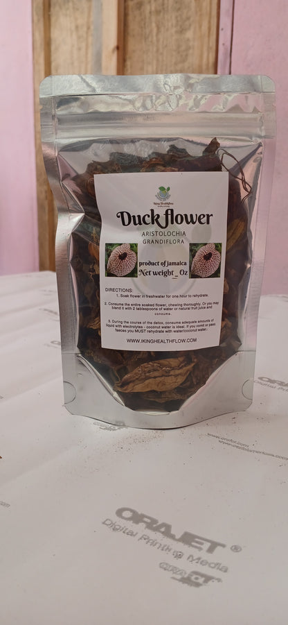 jamaican duck flower seeds Jamaican duck flower detox – I'king healthflow