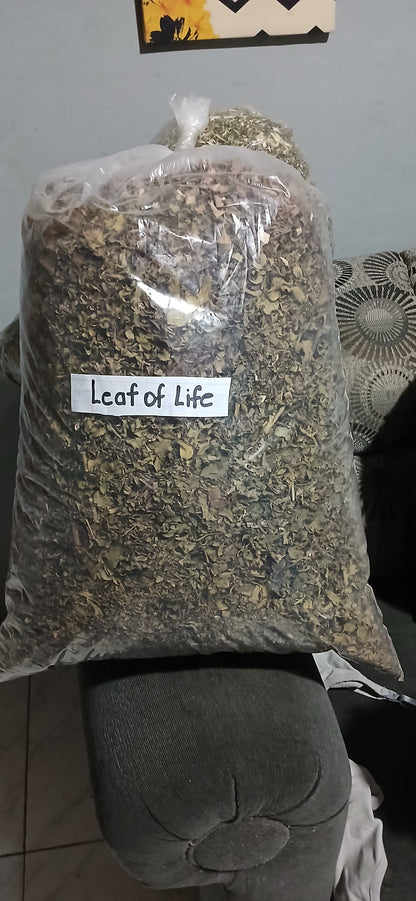 Leaf of life 1kg